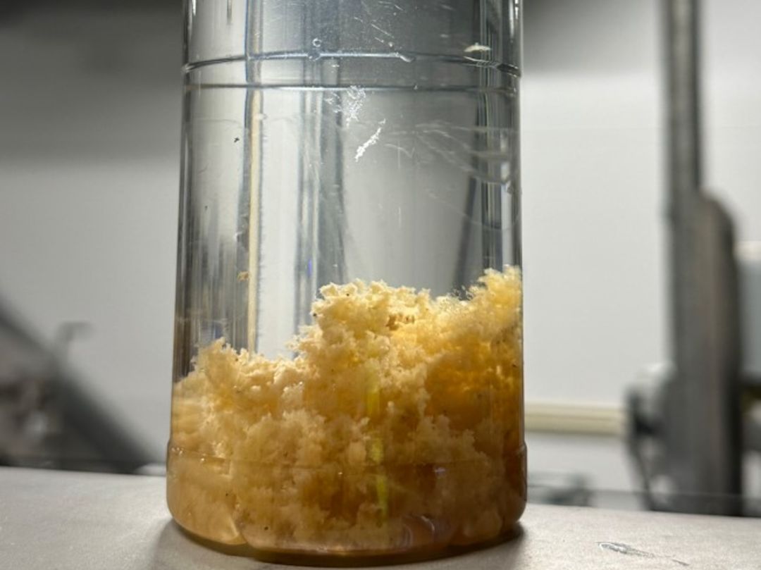 Jar test at smolt farm