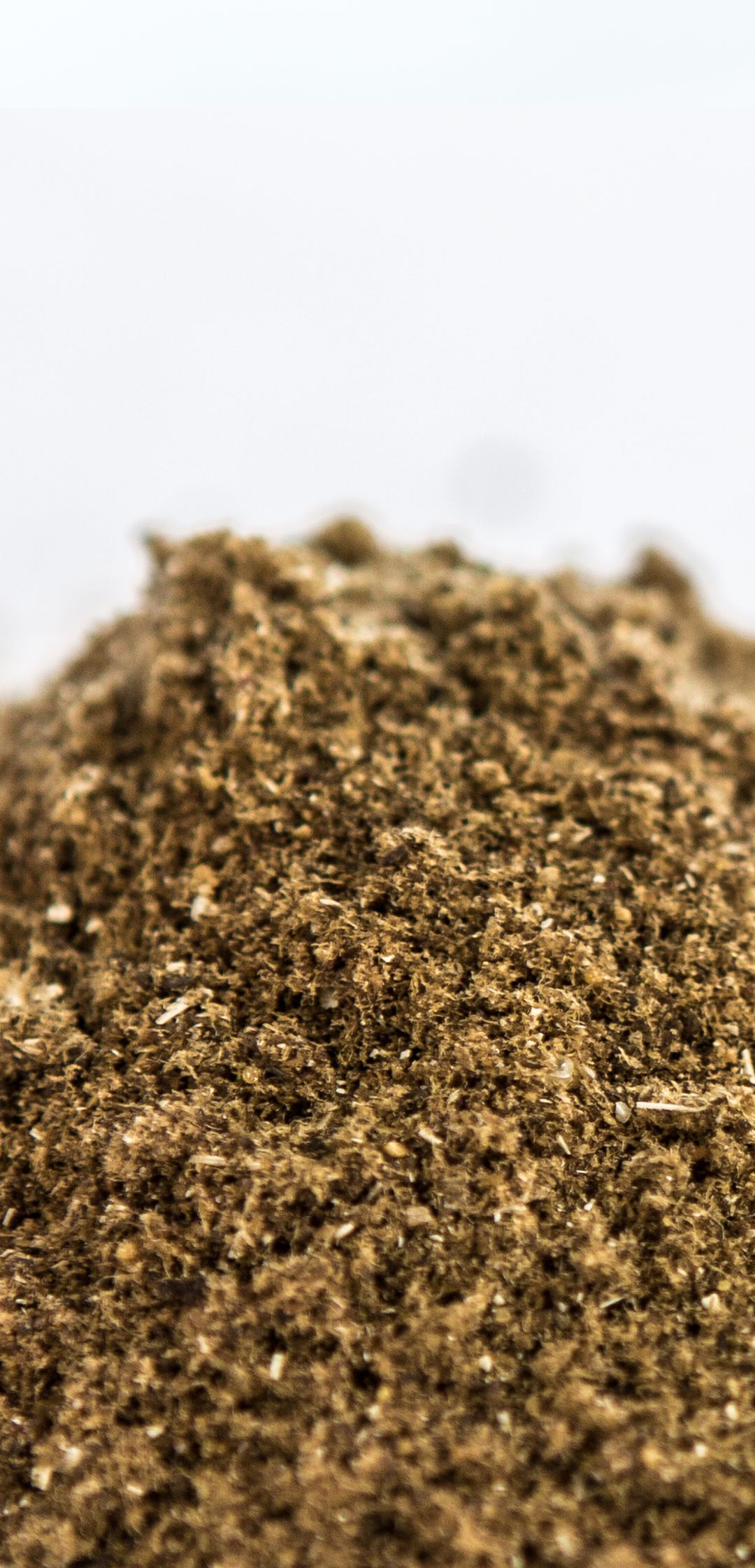 Dried sludge