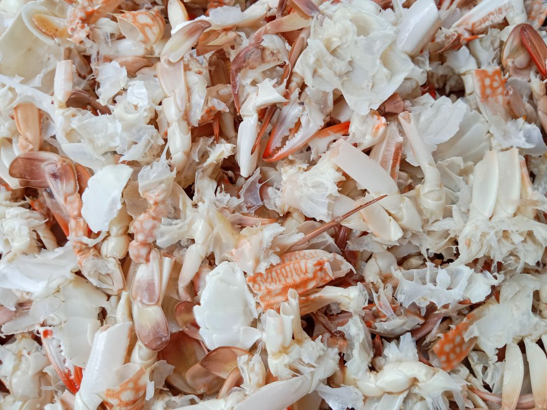 Crab shell residues