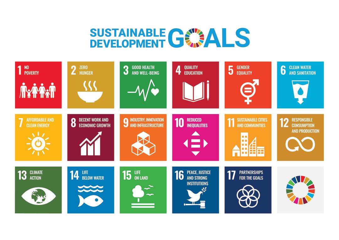 The United Nations Sustainable Development Goals