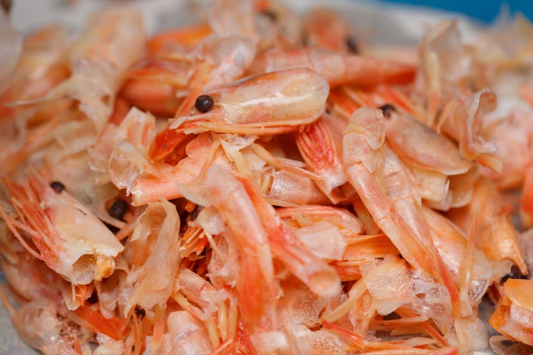 Shrimp shells ready for processing in a Fjell Dryer solution. Picture: Shutterstock.