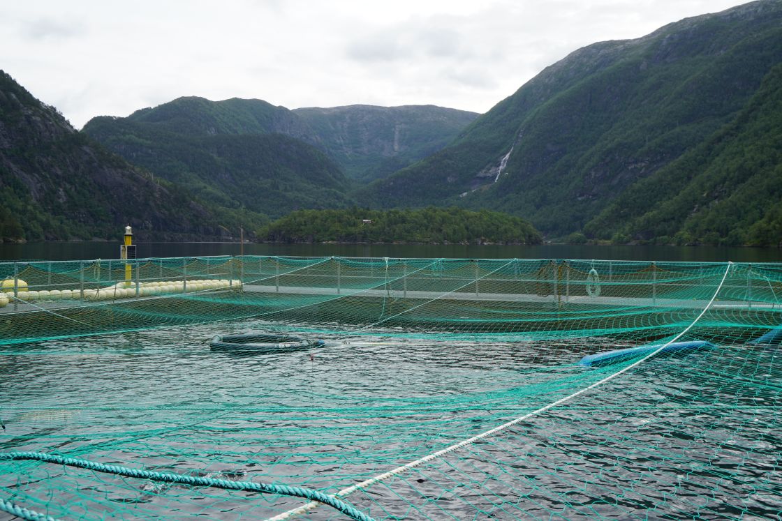 Matre Research station