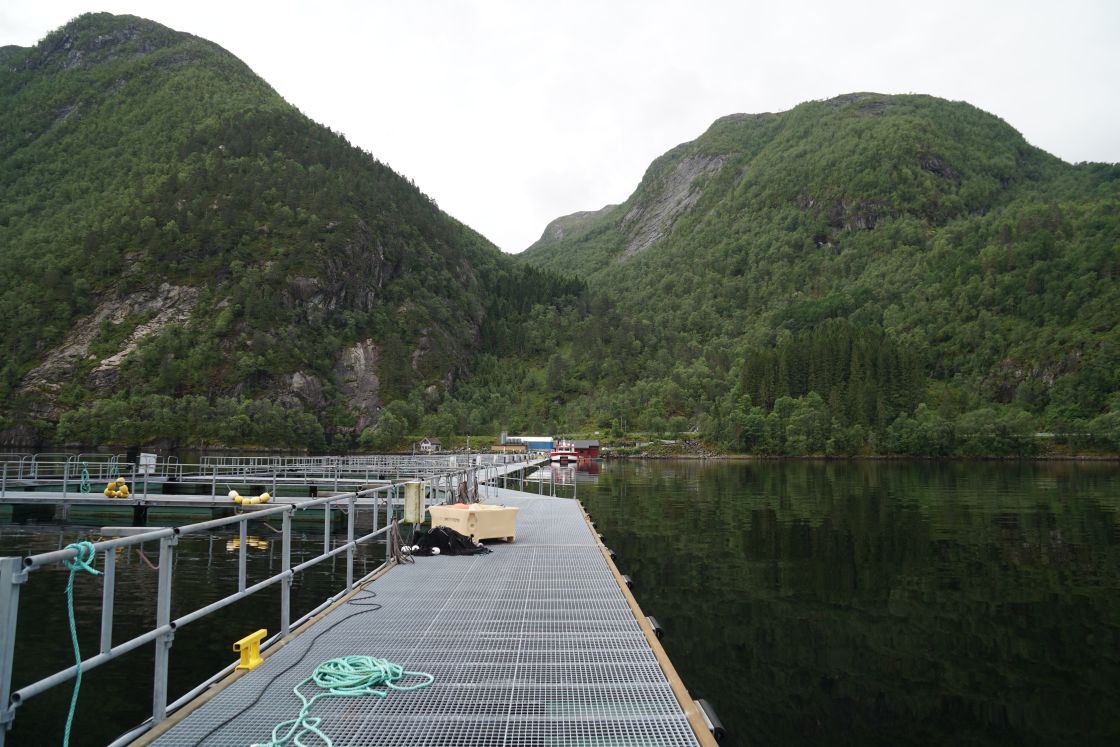 Matre research station