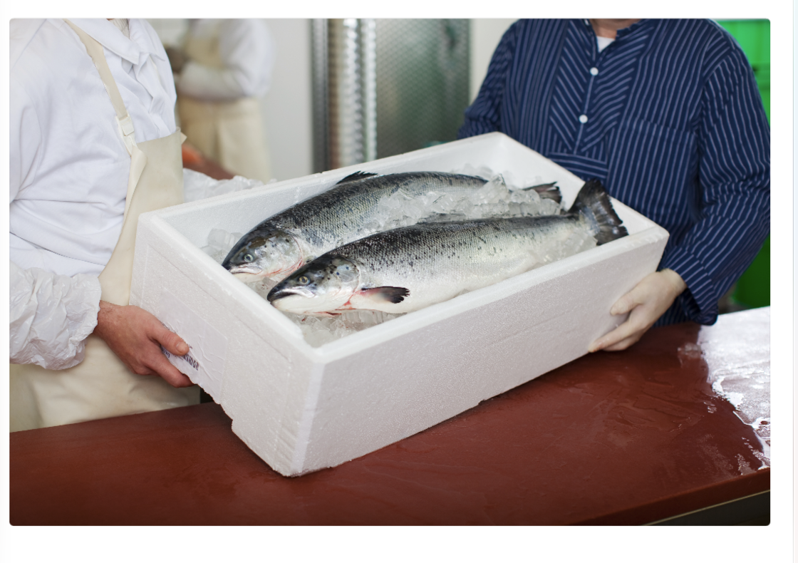 Frozen farmed atlantic salmon 
