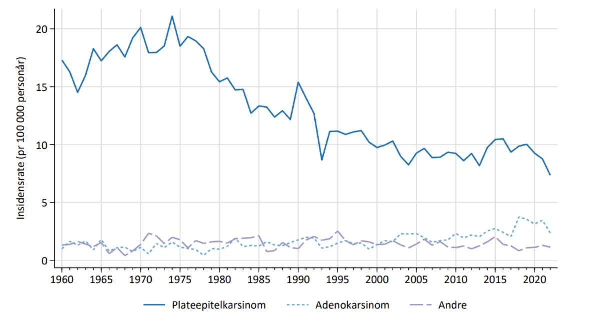 Figur 1: Statistikk fra Kreftregisteret viser forekomsten av plateepitelkarsiom, adenokarsinom og andre typer livmorhalskreft fra 1960 og frem til i dag. Plateepitelkarsinomer har gått gradvis ned fra 70-tallet mens det har vært en jevn økning av adenokarsinomer fra år 2000 frem til i dag. Sjeldne former for livmorhalskreft har ligget stabilt i hele perioden.