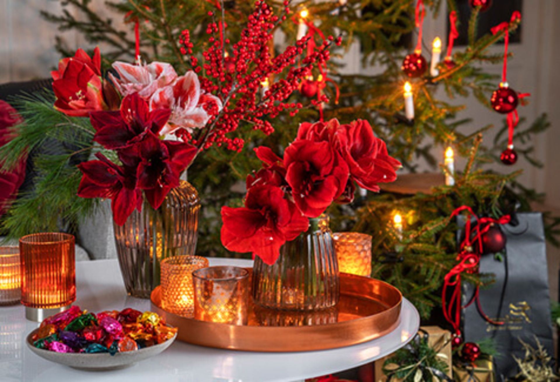 Amaryllis i dyp rødfarge og rosa fra Interflora Norge