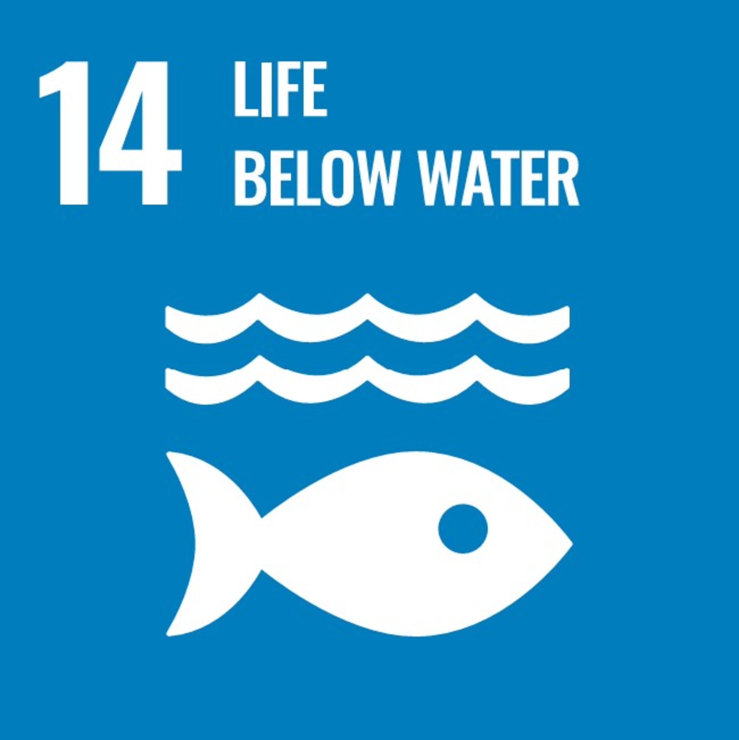 un SDG 14
