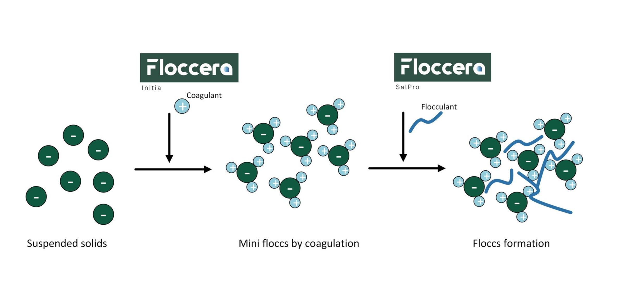 coagulation and flocculation process