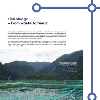 Fish sludge - from waste to feed?