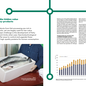 Unlocking the hidden value of marine by-products