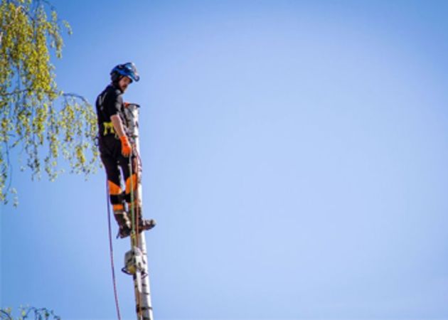 Ung mann arbeider i toppen på en mast, på Stendis arbeids- og aktivitetstilbud i Skien.