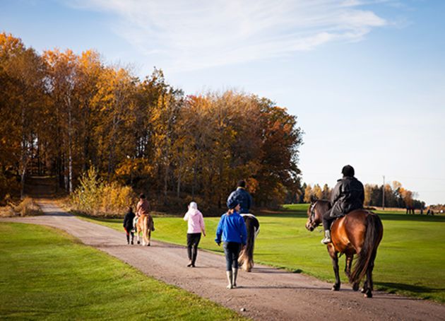 barn og ungdommer på ridetur i en park