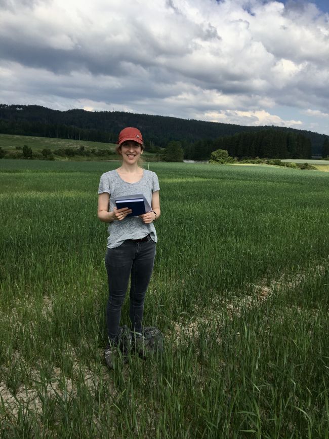 Fertilising crop field using fish sludge