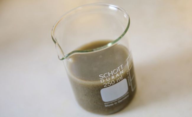 Wet sludge from wastewater and sludge treatment. 