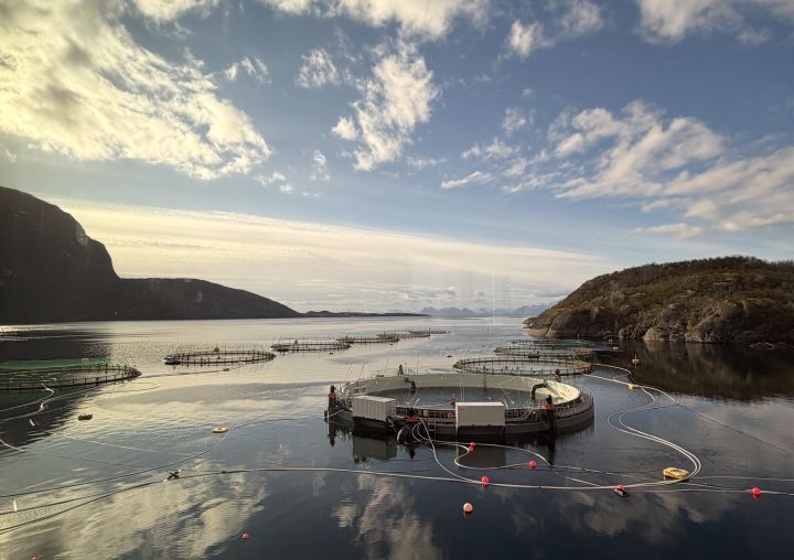 Hamarøy