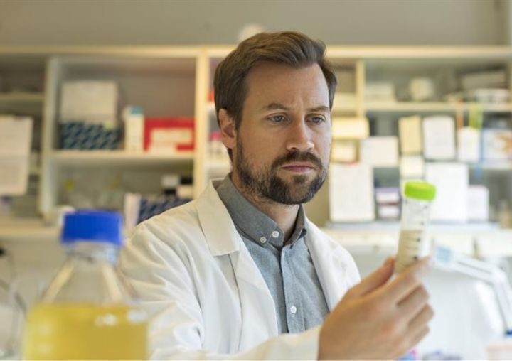 Examination of enzymes