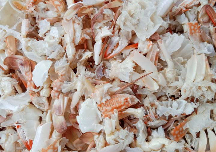 Crabb shell residues. Ready to be dried by Fjell Turbo disc dryer.