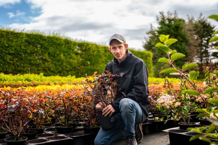 Kantine i nordisk stil