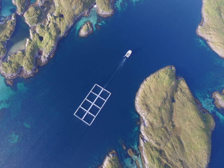 Fiskevelferd Aqua sjøanlegg
