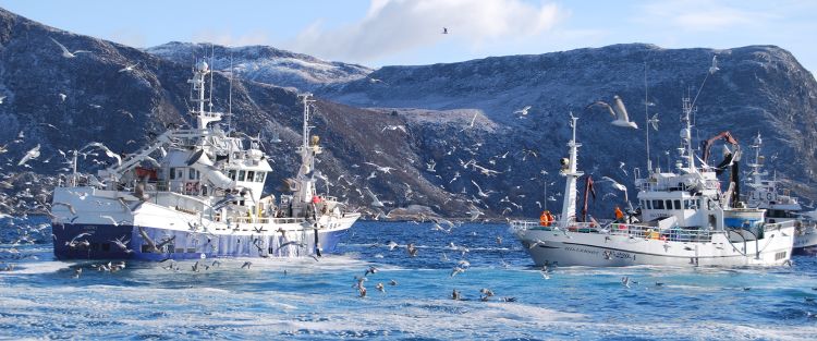 to blå fiskebåter på havet med fugler rundt