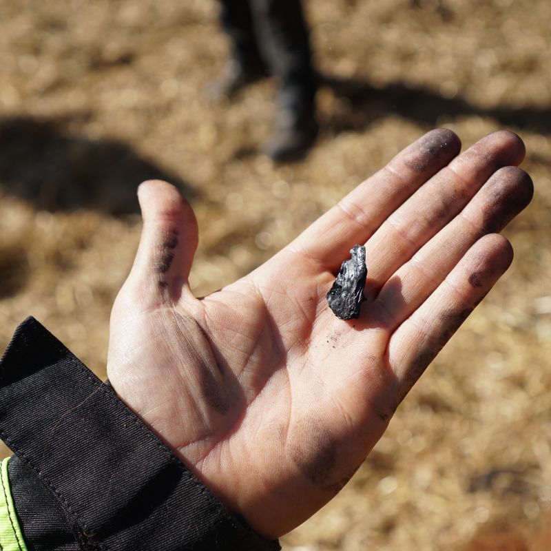 Elkonor jobber med bærekraft