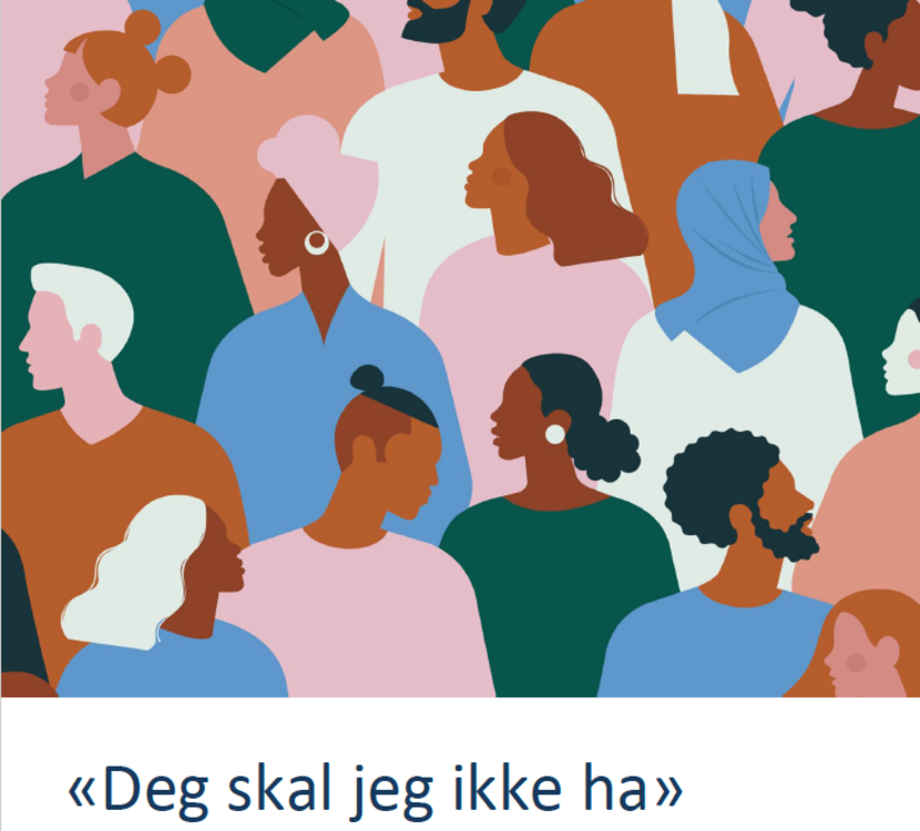 Les rapporten "Deg skal jeg ikke ha - rasisme og diskriminering i helsevesenet"