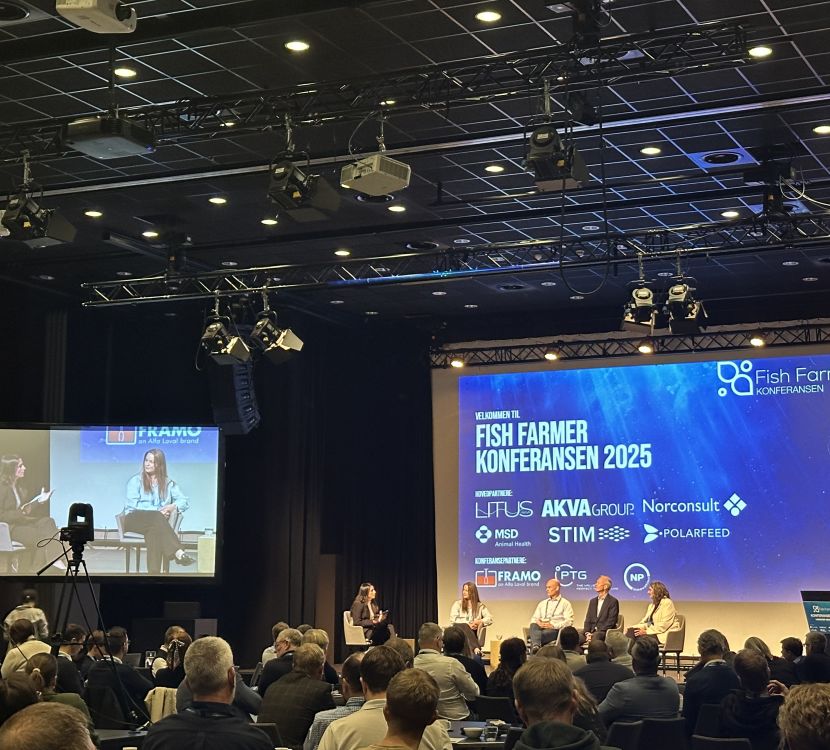 Destillery for Whisky production