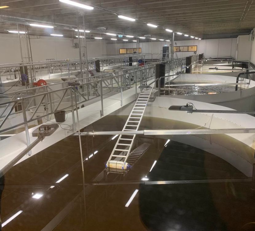 Landbased RAS salmon smolt fishfarm in Norway