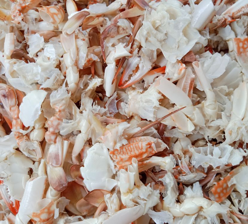 Crushed crab shells ready for drying with a Fjell Turbo disc dryer.