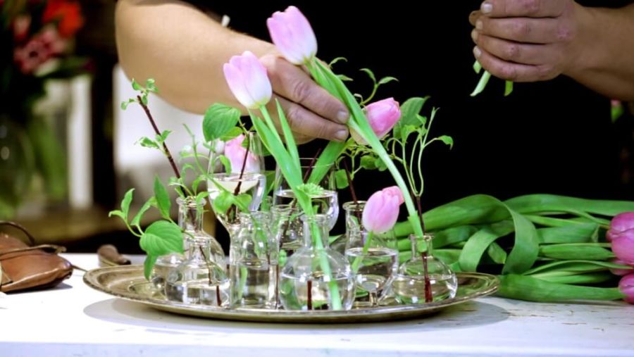 tulipaner og grønt i små vaser på fat