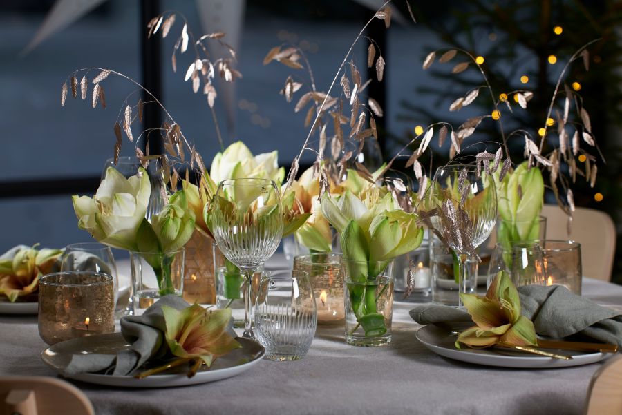 Lyst bord pyntet med amaryllis