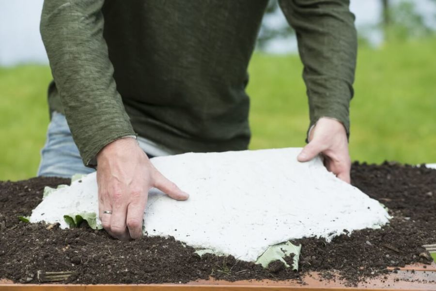 lag ditt eget betongblad interflora norge