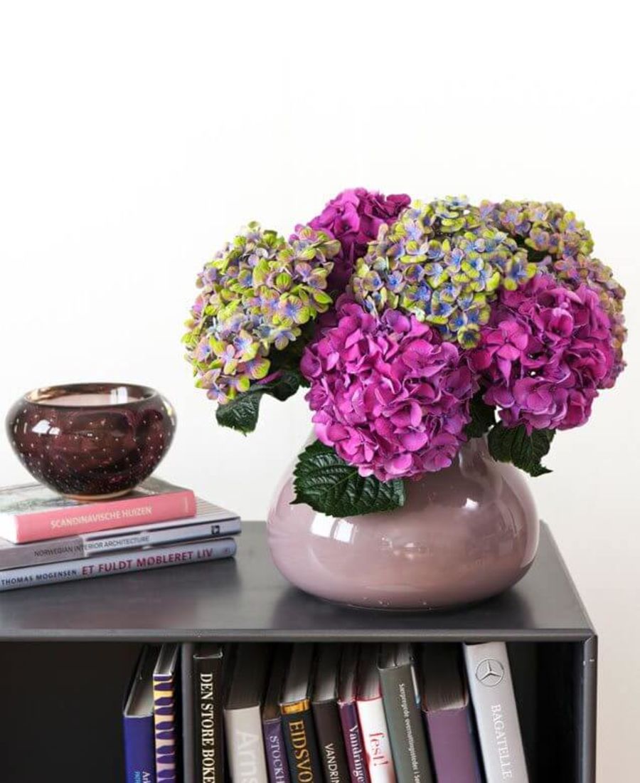 hortensia bukett i vase på en bokhylle