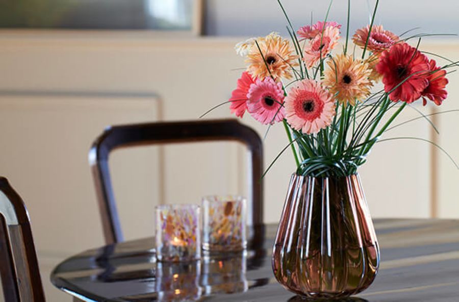 vase med germini