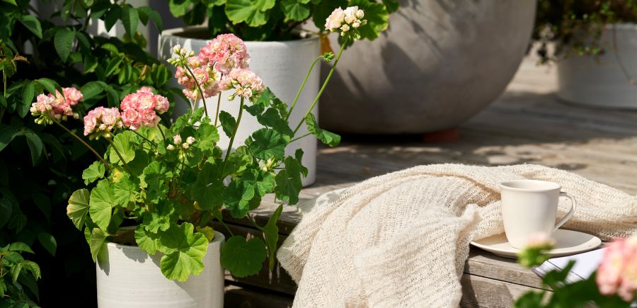 en vakkert pyntet uteplass med vårblomster