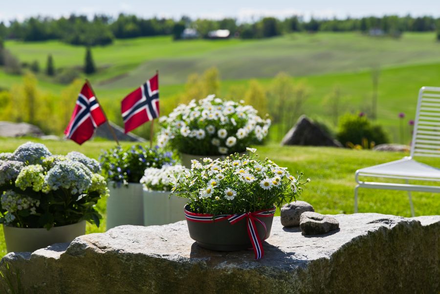 en uteplass pent pyntet med margeritter til 17.mai