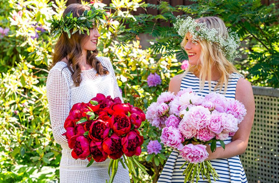 Røde og rosa peoner som gave til sommerfesten - interflora norge