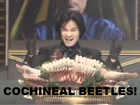 [Image: beetle.png]