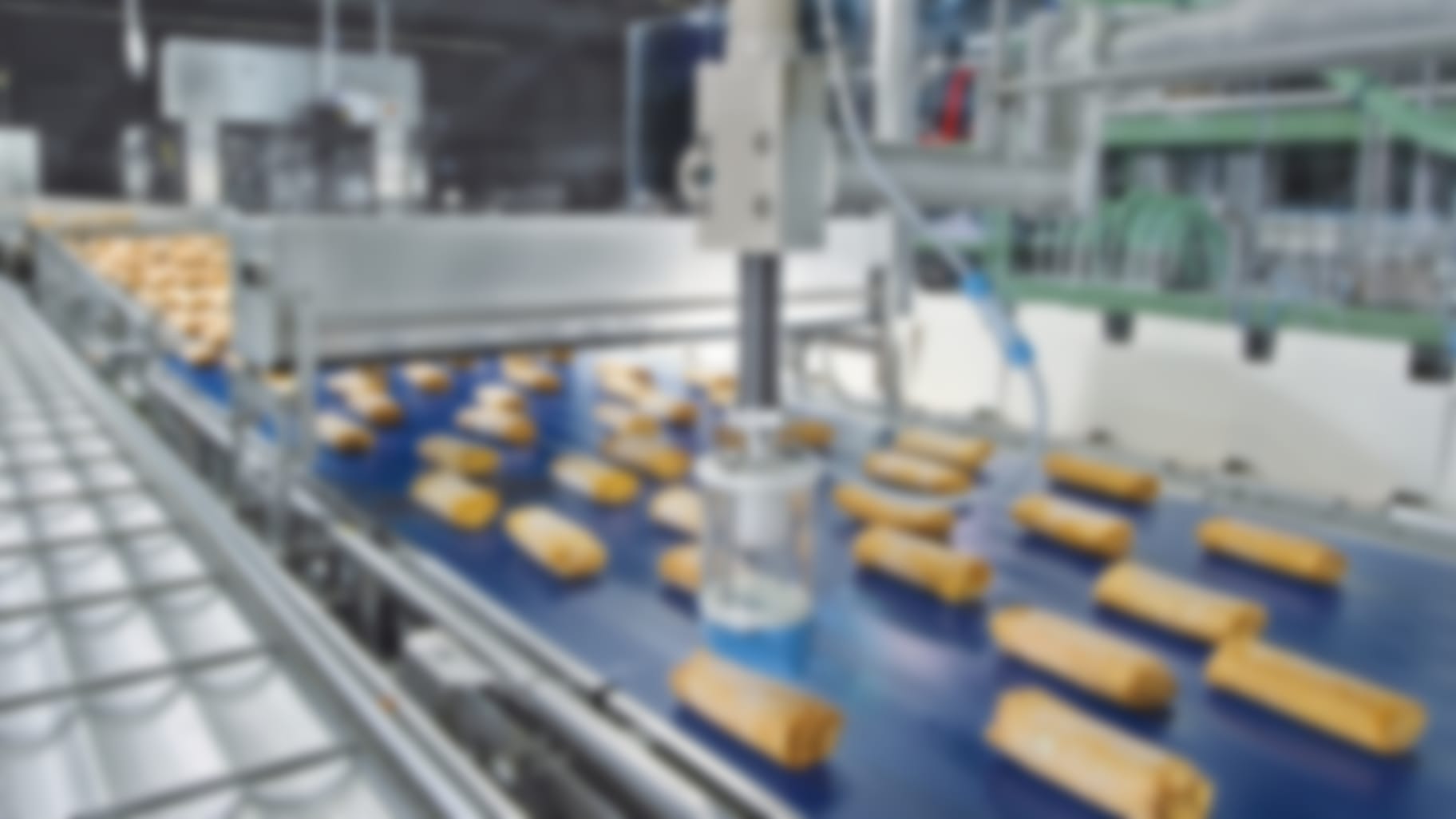 Packaging machine for spring rolls