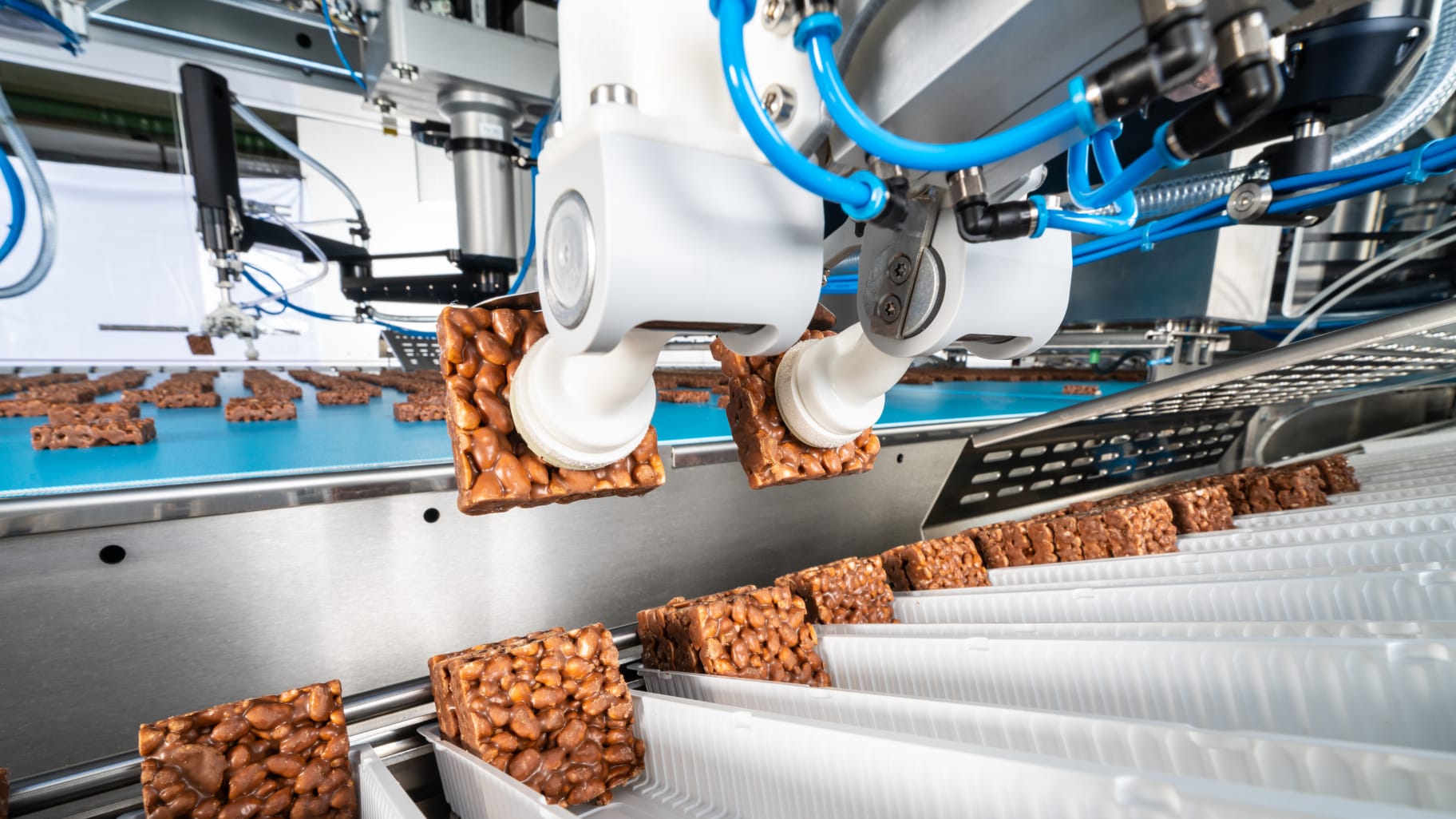 Packaging machine for Hosta rice wafers