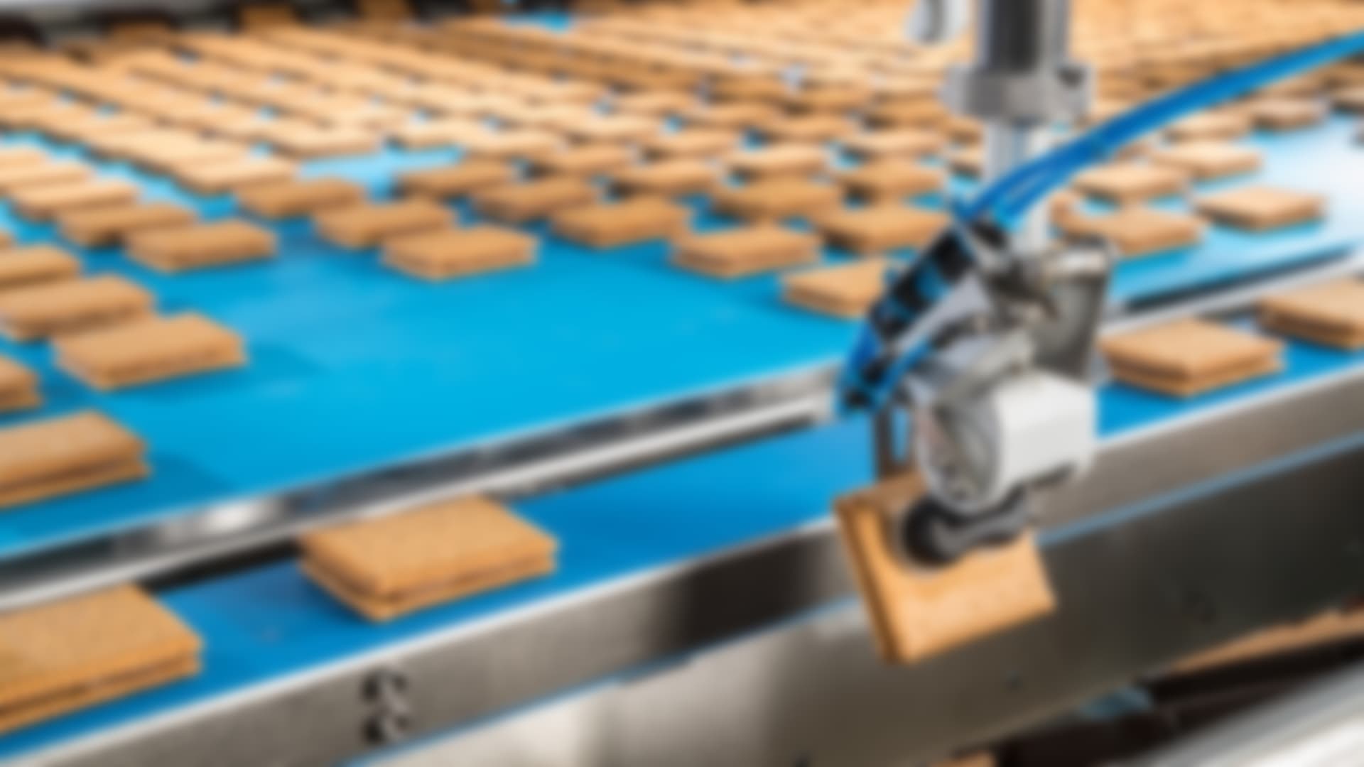 The biscuits can be placed either into plastic trays or individually onto a grouping belt.