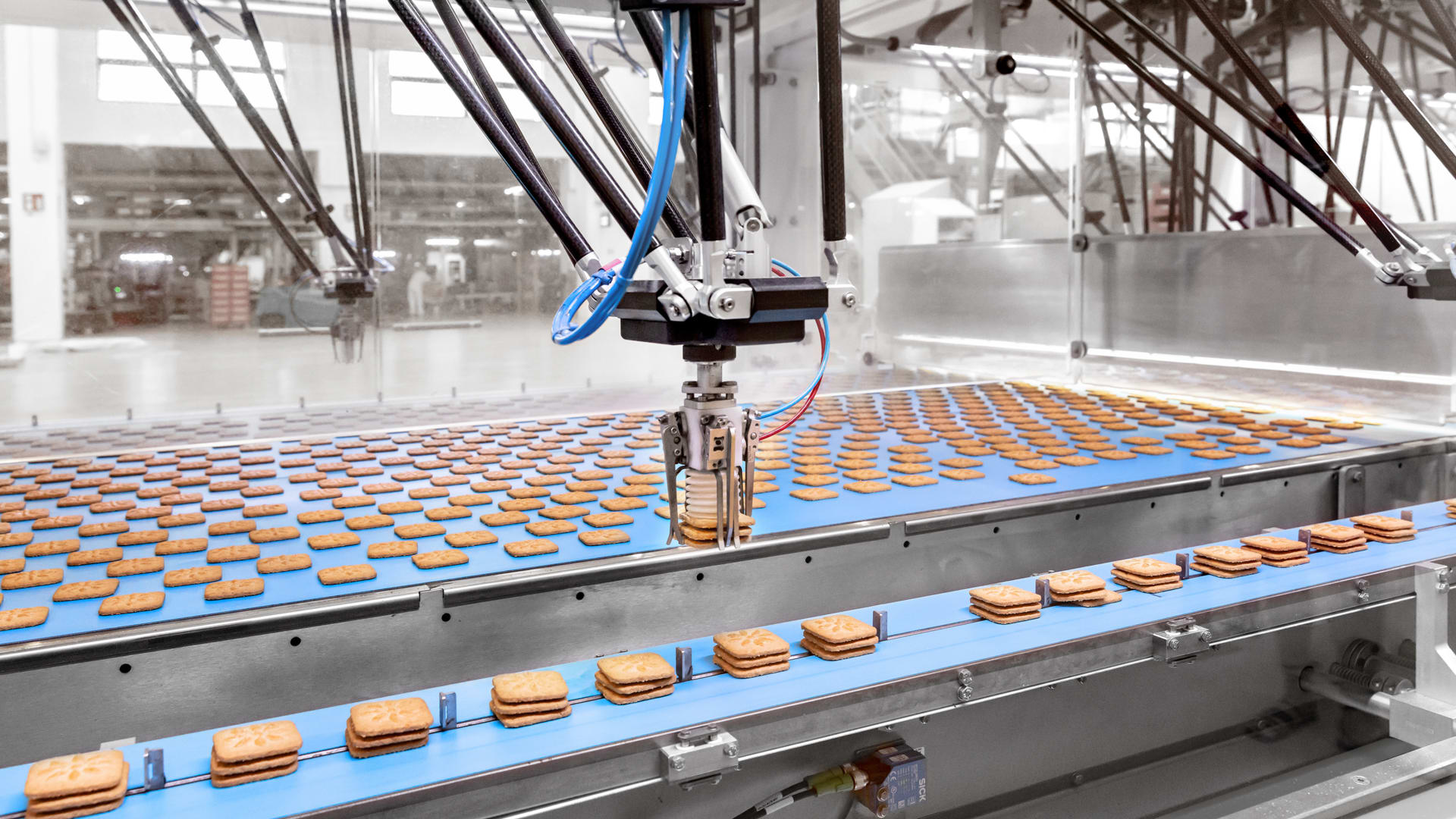 Die Kekse werden per Pick-and-Place für das Flowmodul vorgruppiert.