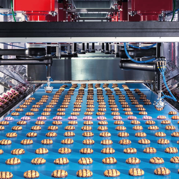Vision System for biscuits