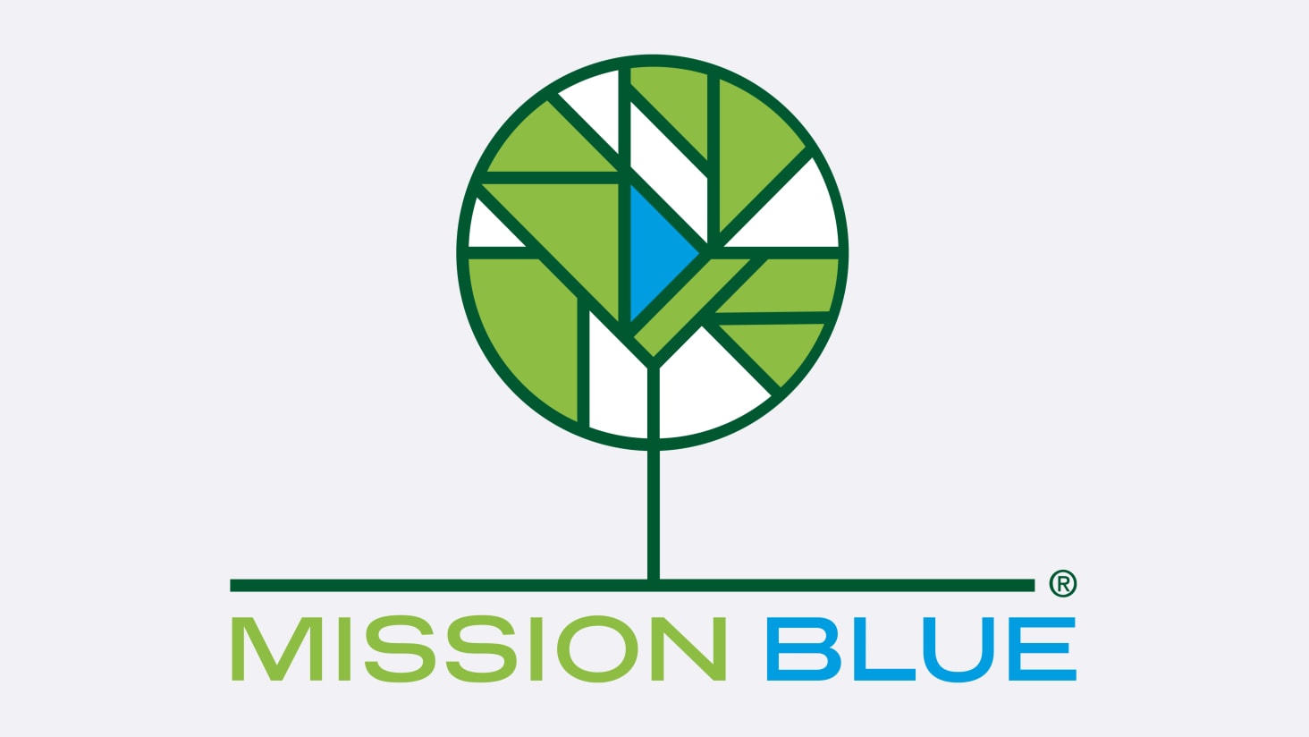 D’une vision au projet Mission Blue