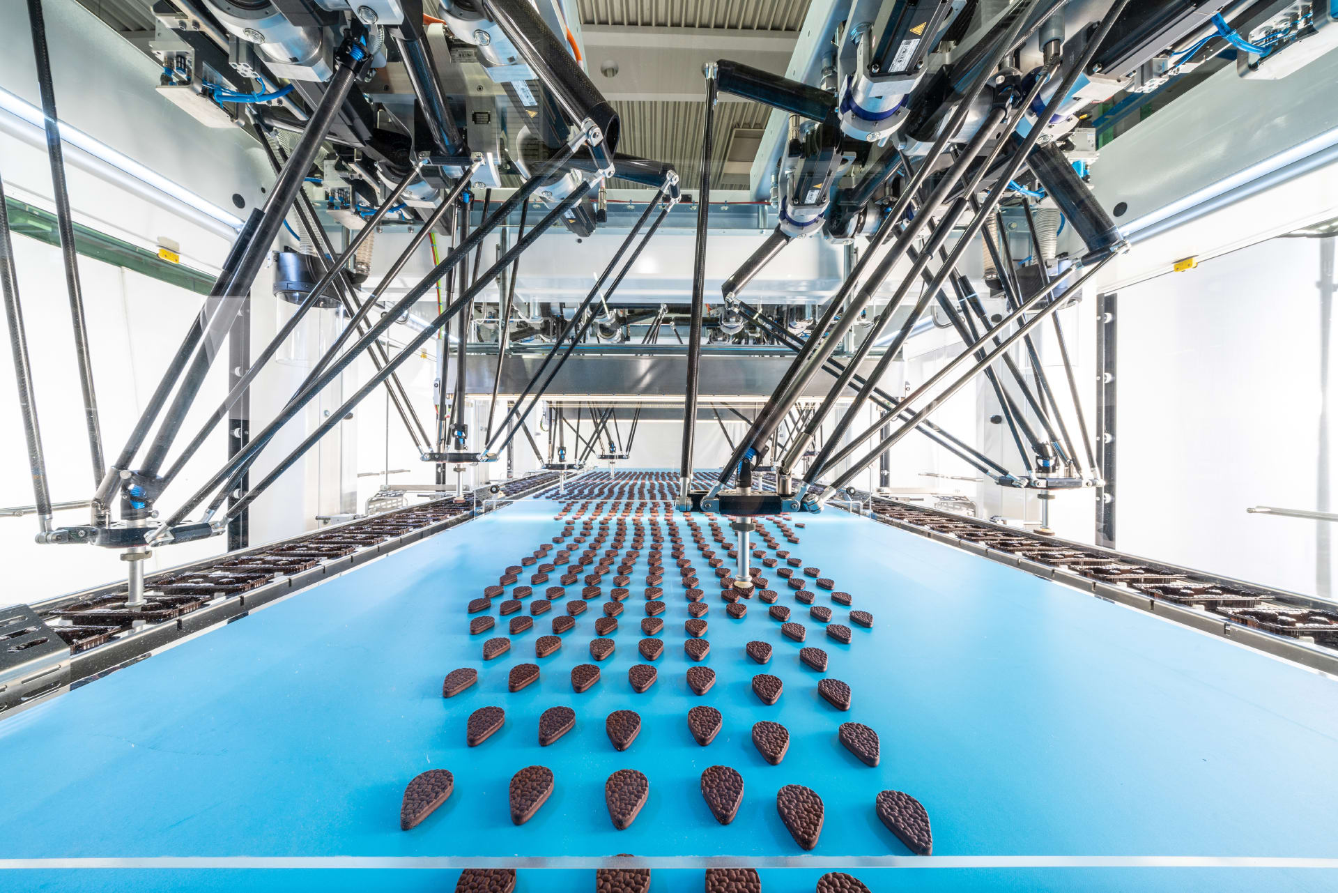 Eight coordinated robots in Delta design pick up chocolate biscuits from a wide product belt in a packaging machine. 