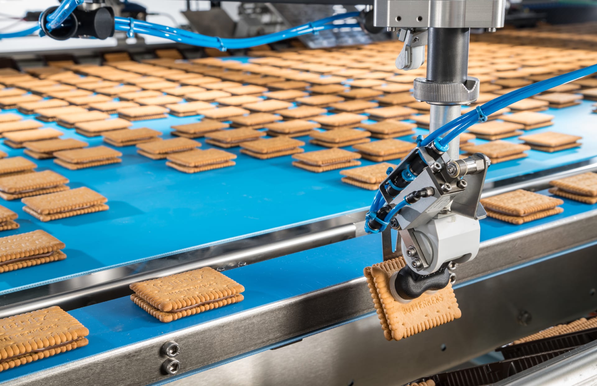 Pick and place robot picks biscuit