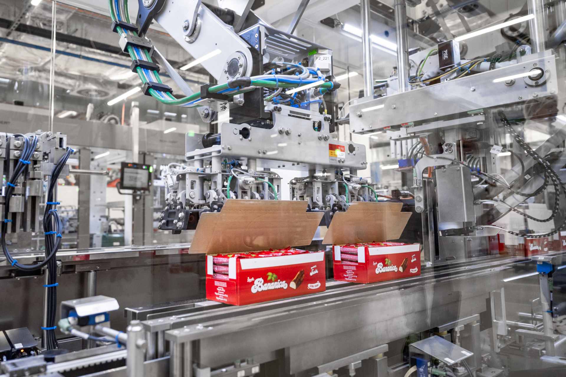 The case packer in action: the boxes are placed into erected transport cases and lidded.