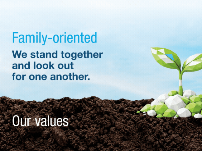 A stylised plant seedling made of green and white cardboard pieces grows out of the soil. Schubert’s corporate values “Responsible”, “Appreciative”, “Pioneering”, “Family-oriented”, “Passionate”, “Stable & reliable”, “Health-oriented”, “Team-oriented” and “Flexible” are displayed one after another.