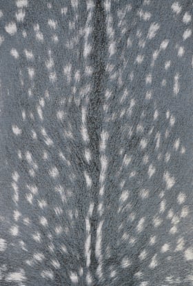 Couristan Dolce Hyena Denim-silver