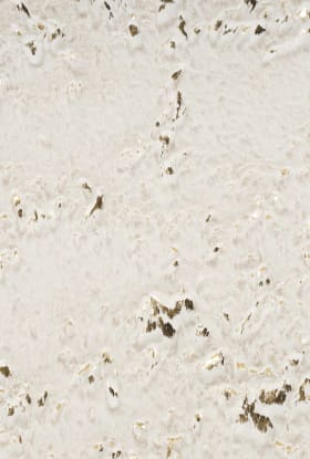 Nourison Home Cozy Shimmer Ivory Gold